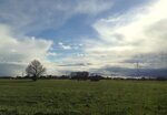 IMG_0466.jpg