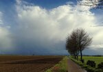 IMG_0448.jpg