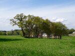DSC03354.jpg