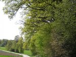 DSC03355.jpg