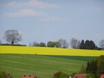 DSC03357.jpg