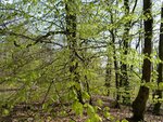 20160430_1733.jpg