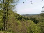 20160430_1736.jpg