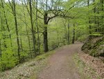 20160430_1756.jpg