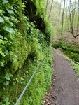20160430_1781.jpg