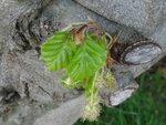 DSC03386.jpg