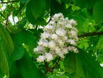 DSC03412.jpg