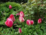 DSC03408.jpg