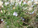 DSC03416.jpg