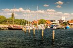 IMG_2131.jpg