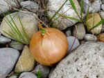DSC03404.jpg