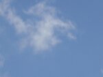 SDC12312.jpg