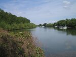 IMG_1895rh.jpg