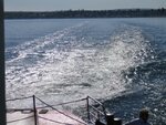 IMG_1348bs.jpg