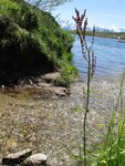 IMG_0028.jpg