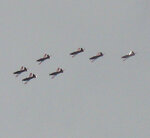 IMG_0334 Kopie.jpg