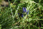 1024__YZ00211.jpg