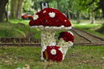 1024__YZ00443.jpg