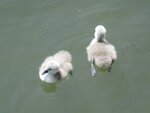 IMG_0091B.jpg