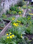 Foto0946.jpg