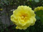 DSC03475.jpg