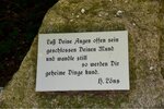 ImageUploadedBySymptome.ch1465712731.542115.jpg