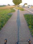 Bild des Tages -Schatten 1.JPG