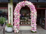 DSC03559.jpg