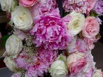 DSC03561.jpg