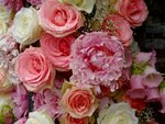 DSC03562.jpg