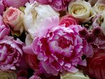 DSC03563.jpg