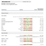 Vitamin- und Mineralstoffanalyse.jpg