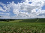 DSC03570.jpg