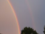 DSC03593.jpg