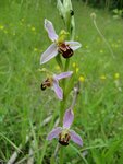 20160611_2339.JPG