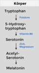 Tryptophan-Stoffwechsel.png