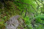 ImageUploadedBySymptome.ch1468443100.411290.jpg