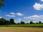 DSC03852.jpg