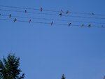 DSC03886.jpg