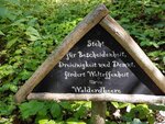 20160806_135431_033.jpg