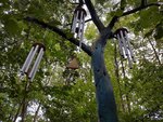 20160806_140447_038.jpg