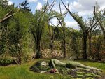20160806_140912_042.jpg