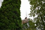 ImageUploadedBySymptome.ch1472113524.333637.jpg