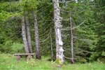 ImageUploadedBySymptome.ch1472113680.900573.jpg