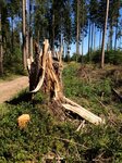 IMG_0516.jpg