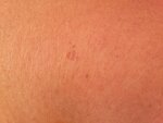20160824_163226.jpg