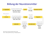 neurotransmitter_synthese.png