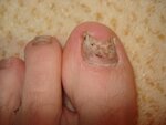 DSC04854.jpg