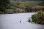 DSC_0103.JPG