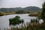 DSC_0107.JPG